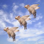 Flying_Pigs.jpg