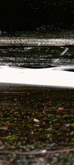 Screenshot_2022-11-28-15-10-43-56_99c04817c0de5652397fc8b56c3b3817.jpg