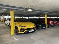 IMG_4299 (1).jpeg