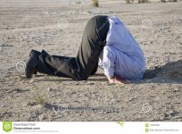 man-his-head-hole-literal-picture-saying-bury-your-sand-116635682.jpg