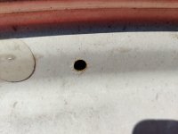IMG_20230501_174616_Bokeh.jpg