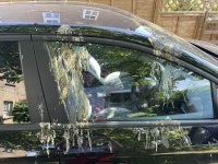 IMG_4897 (2).jpeg