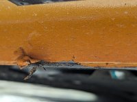 PXL_20230621_120120018.jpg