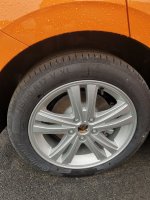 IMG_20230723_113717.jpg