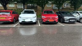 IMG_2052.jpeg