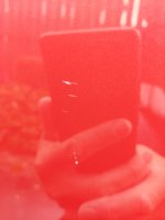 20230725_135139.jpg
