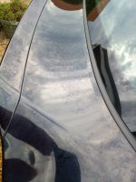 IMG_20230910_101742513.jpg