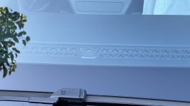 IMG_0401.jpeg