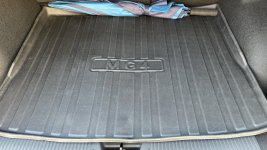 IMG_7175.jpeg