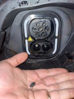IMG_8549.jpeg