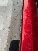 IMG_0436.jpeg