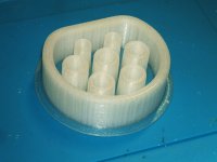 Type2_Cap_2.JPG