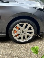 IMG_6600.jpeg
