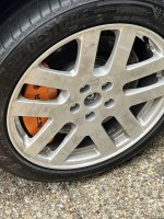 IMG_6599.jpeg