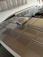 IMG_4771.jpeg