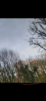 IMG_2391.jpeg