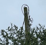20250604 Pole Supply.jpg
