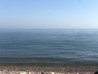 IMG_1823.jpeg