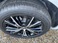 IMG_0077.jpeg