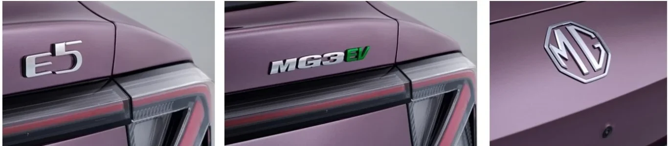 mgdetail2.webp