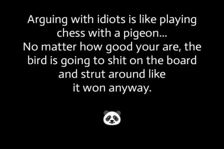 Arguing with an idiot.webp