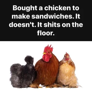 Chicken Sandwiwiches.webp