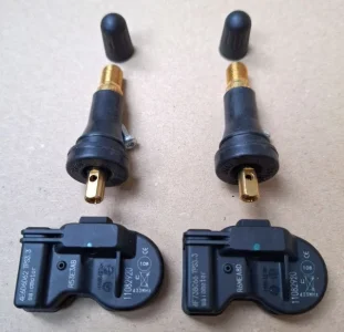 tpms2.webp