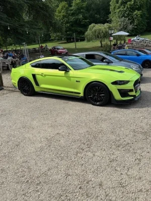 mustang.webp