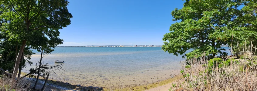 Poole from Brownsea.webp