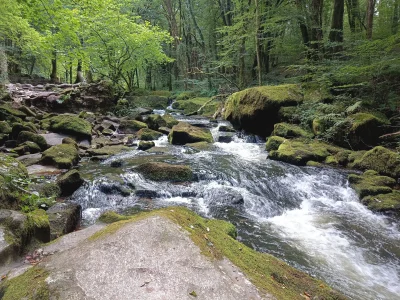 Golitha Falls SML.webp