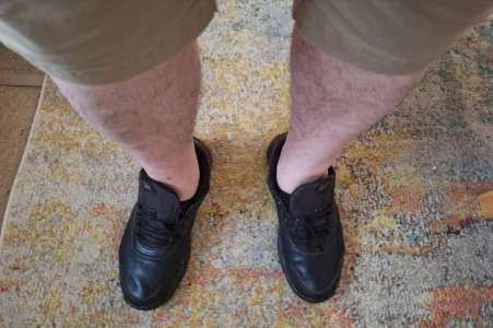 legs.webp