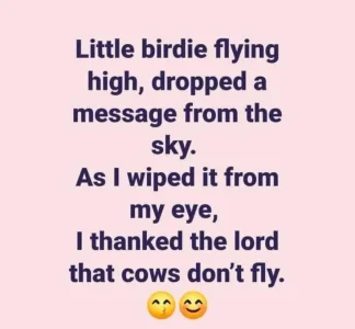 little birdie.webp
