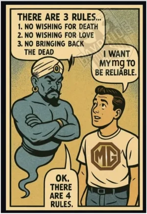 MG rules.webp