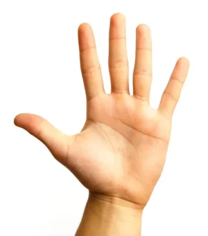 1758014327780.webp
