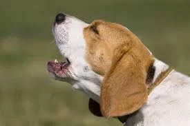 1758022591090.webp