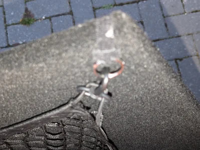 PXL_20251013_173106882.webp PXL_20251013_173106882.webp