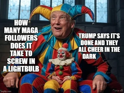 Maga light bulb changers.webp