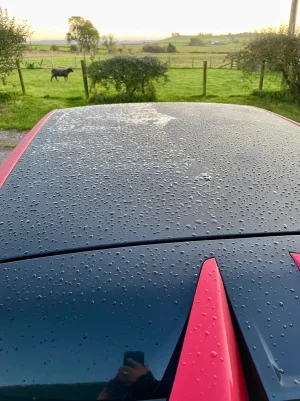 MG4 roof coating Oct' 24.webp