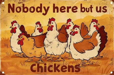 Chickens.webp