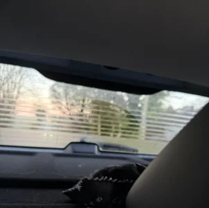 WhatsApp Image 2026-02-17 at 09.28.25.webp