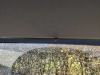 IMG_20211117_121432.jpg