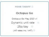 Octopus Go.JPG