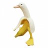 BananaDuck