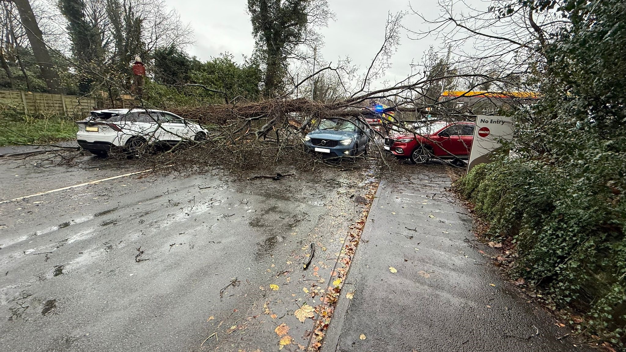 road-shut-tree-fell-crashed-1038531225.jpg