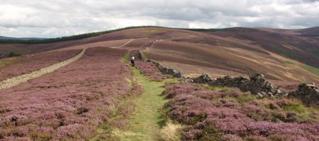www.scotlandsgreattrails.com