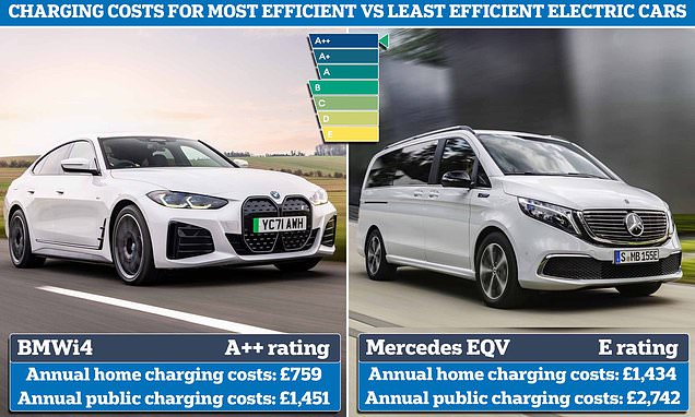 www.dailymail.co.uk